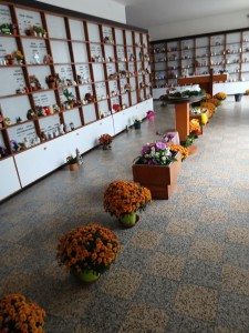 Dušičky PV 12 Dušičky PV 12