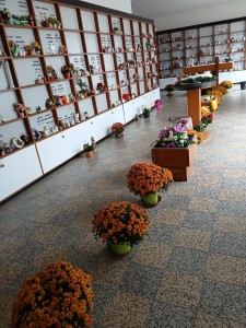 Dušičky PV 13 Dušičky PV 13