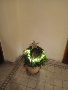 WhatsApp Image 2025-12-25 at 11.45.00